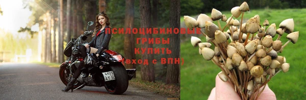 бутират Дмитров