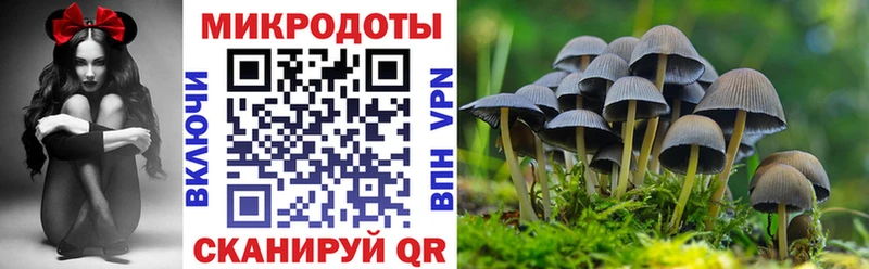 магазин продажи Мензелинск Псилоцибиновые грибы MAGIC MUSHROOMS